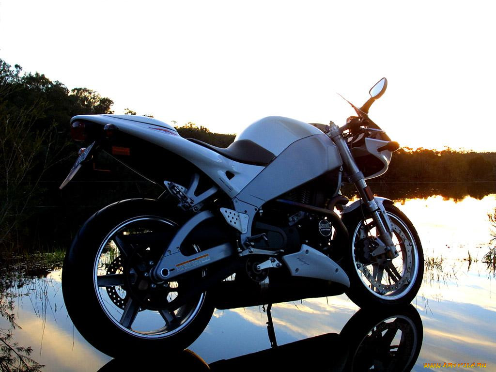 buell, 